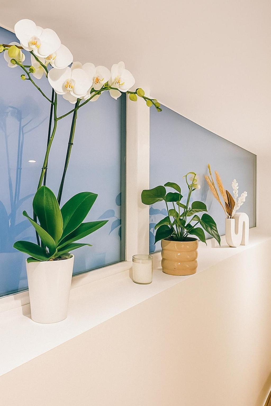 Le Ptit Saint Florent - Independant & Strasbourg